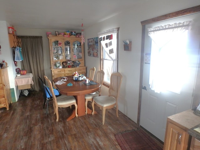 dining space featuring dark wood-type flooring