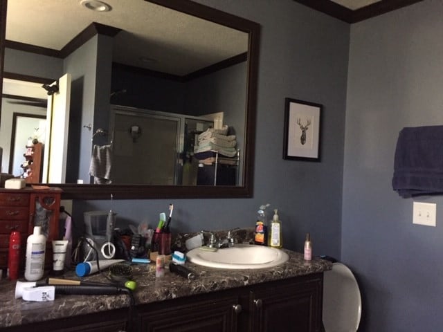 bathroom featuring crown molding and sink