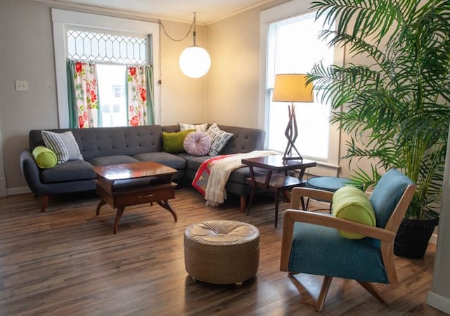 living room with crown molding and wood-type flooring