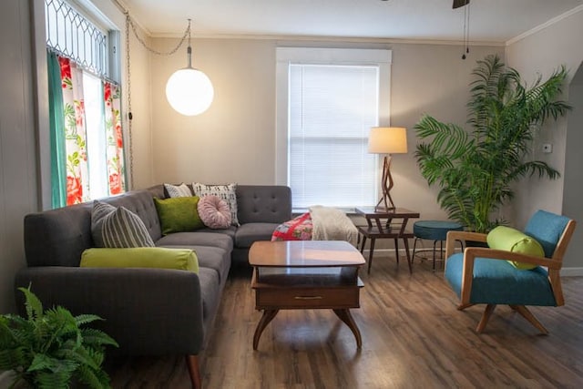 living room with crown molding and wood-type flooring