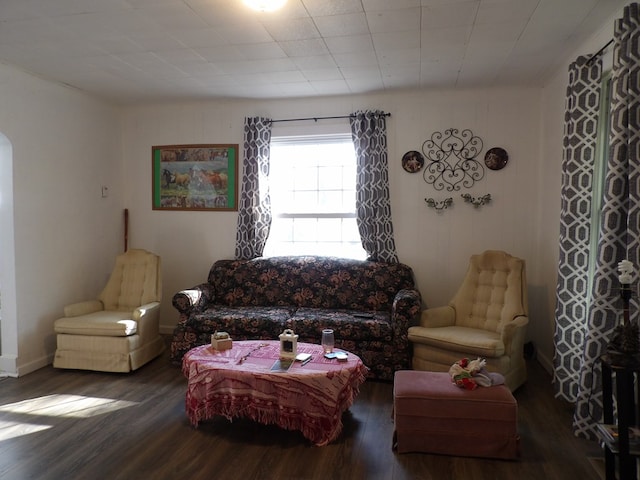 living room featuring dark wood-type flooring