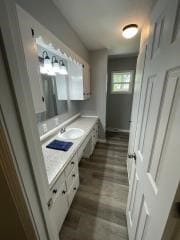 bathroom with wood finished floors and vanity