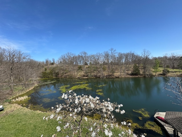1516 W Missouri St, Kirksville, MO 63501 - view of water feature