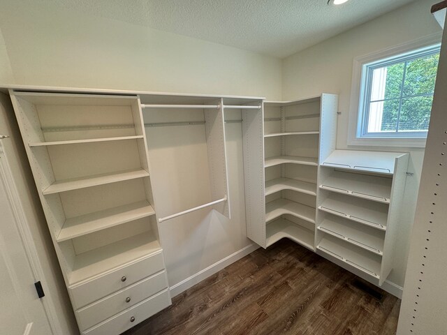 22585 State Highway K, Novinger, MO 63559 - spacious closet with dark wood finished floors