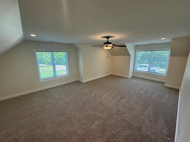22585 State Highway K, Novinger, MO 63559 - additional living space with ceiling fan, lofted ceiling, a textured ceiling, and carpet flooring