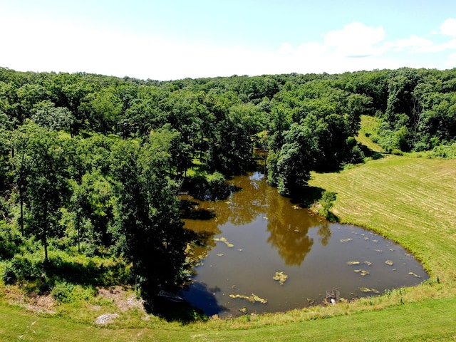 22585 State Highway K, Novinger, MO 63559 - drone / aerial view of a forest and a nearby body of water