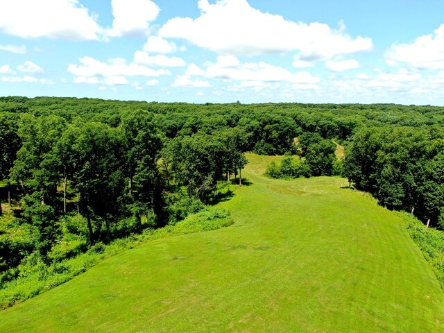22585 State Highway K, Novinger, MO 63559 - bird's eye view of a heavily wooded area