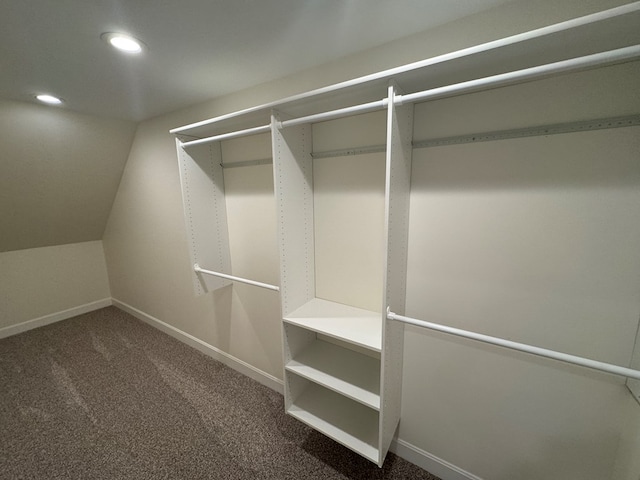 22585 State Highway K, Novinger, MO 63559 - walk in closet featuring carpet flooring