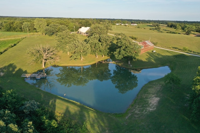 drone / aerial view with a water view and a rural view