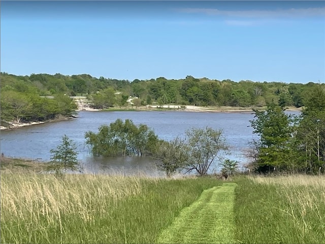 water view with a forest view