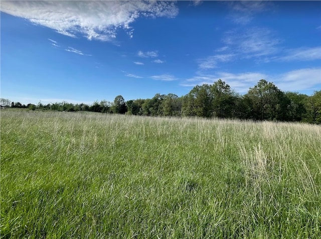 view of landscape