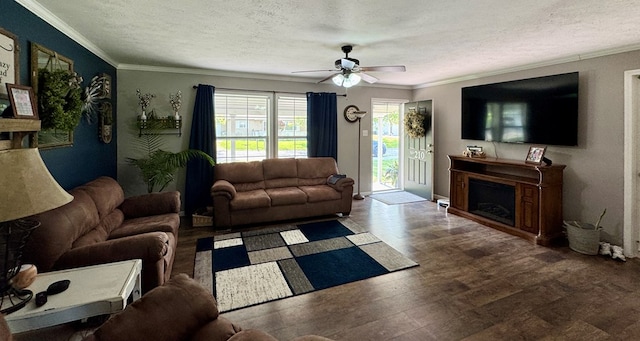 210 N Grant St, Green City, MO 63545 - living room with ceiling fan, a textured ceiling, crown molding, a fireplace, and wood finished floors