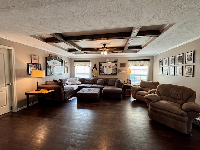 210 N Grant St, Green City, MO 63545 - living room featuring plenty of natural light, ornamental molding, dark wood-style floors, a ceiling fan, and beam ceiling