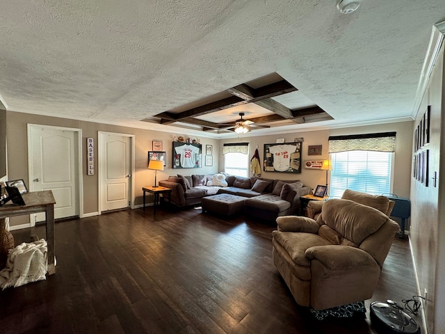 210 N Grant St, Green City, MO 63545 - living room with a textured ceiling, crown molding, a ceiling fan, dark wood-style flooring, and coffered ceiling