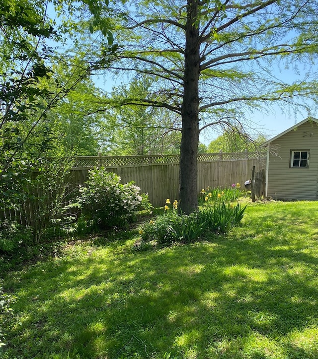 411 W W, Callao, MO 63534 - view of yard