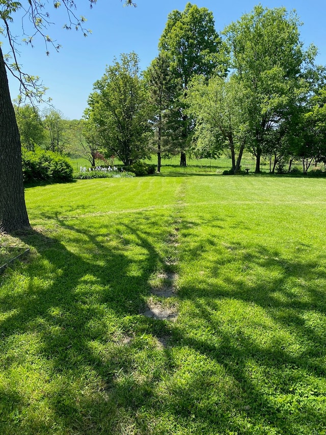 411 W W, Callao, MO 63534 - view of green lawn