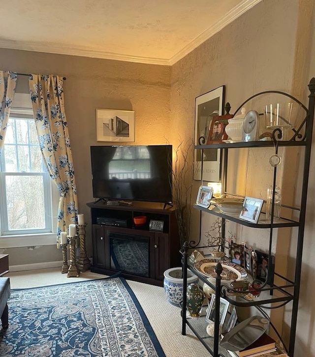 411 W W, Callao, MO 63534 - living room featuring ornamental molding, a textured wall, and baseboards