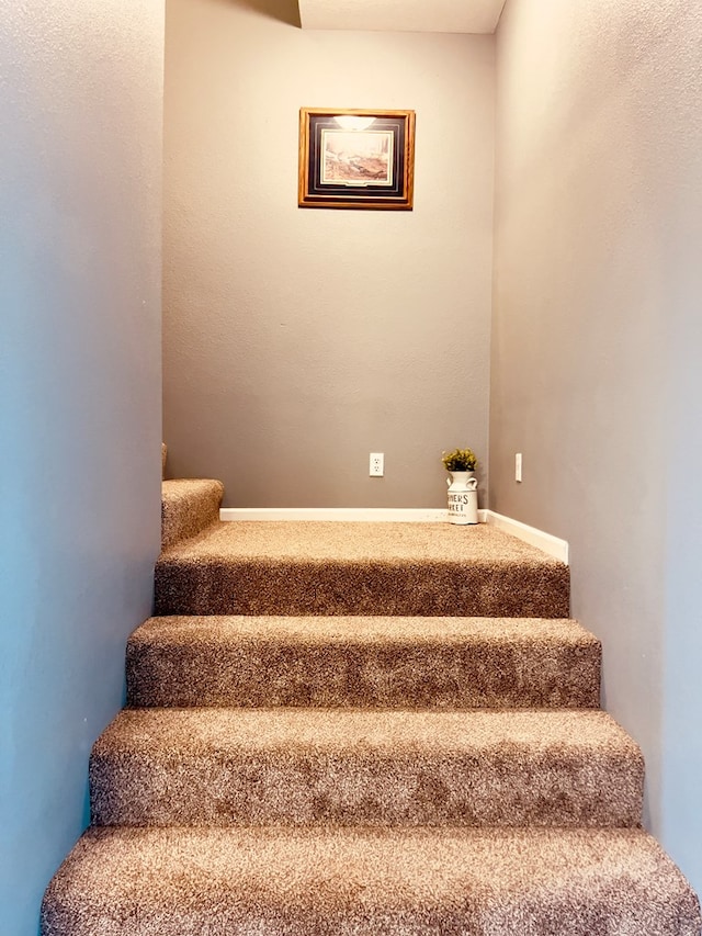 staircase with carpet flooring