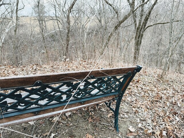 20731 Thousand Hills Trl, Kirksville, MO 63501 - photo 50