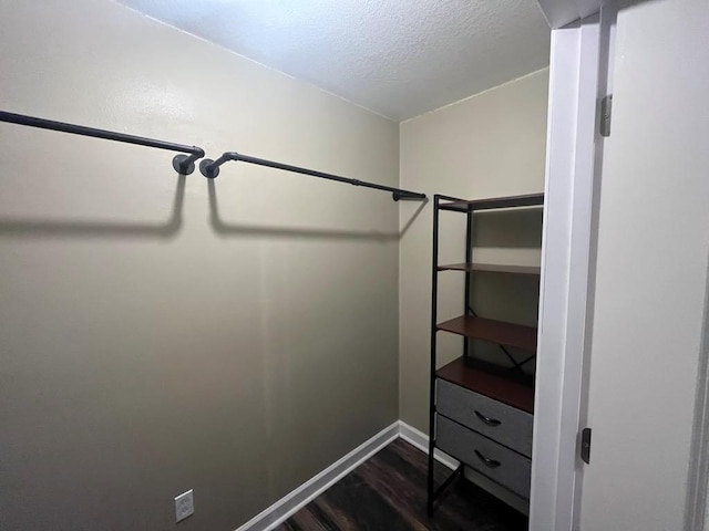 spacious closet with dark wood-type flooring