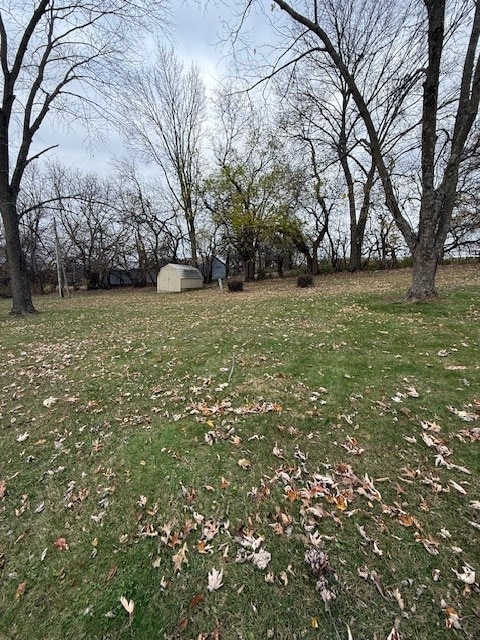 view of yard with a shed