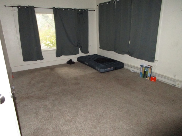 unfurnished room featuring carpet flooring