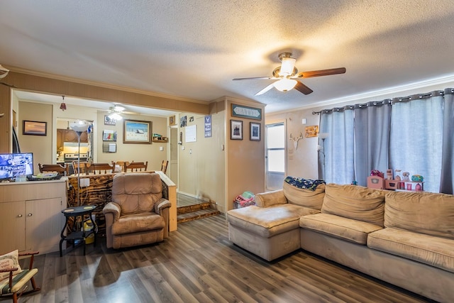 living room with crown molding, ceiling fan, dark hardwood / wood-style floors, and a textured ceiling