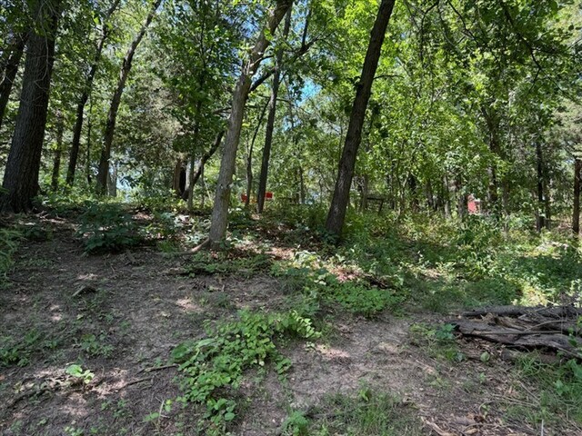 1003 Noll Dr, Macon, MO 63552 - photo 46