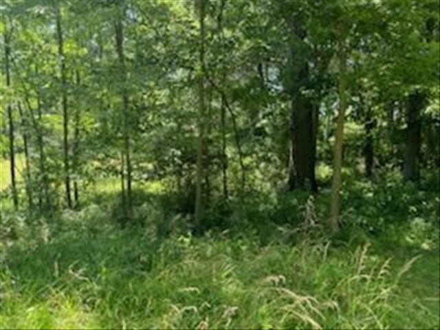 1003 Noll Dr, Macon, MO 63552 - photo 49