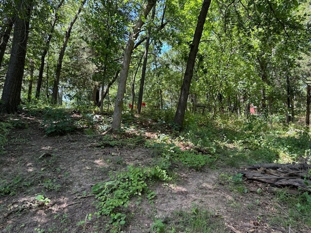 1003 Noll Dr, Macon, MO 63552 - photo 45