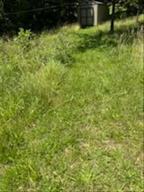 1003 Noll Dr, Macon, MO 63552 - photo 47