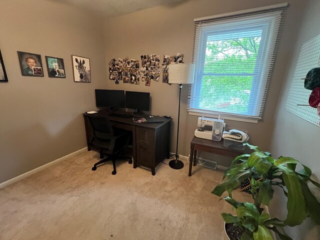 1 Fairlane Dr, Kirksville, MO 63501 - photo 17