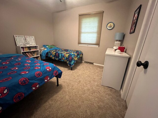1 Fairlane Dr, Kirksville, MO 63501 - photo 19