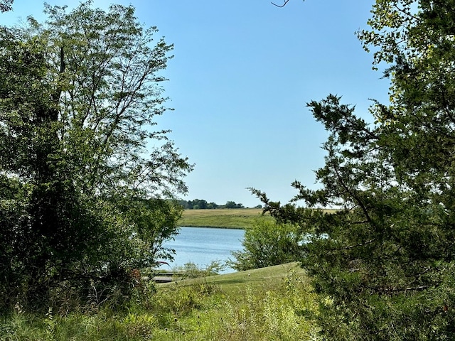 view of water feature