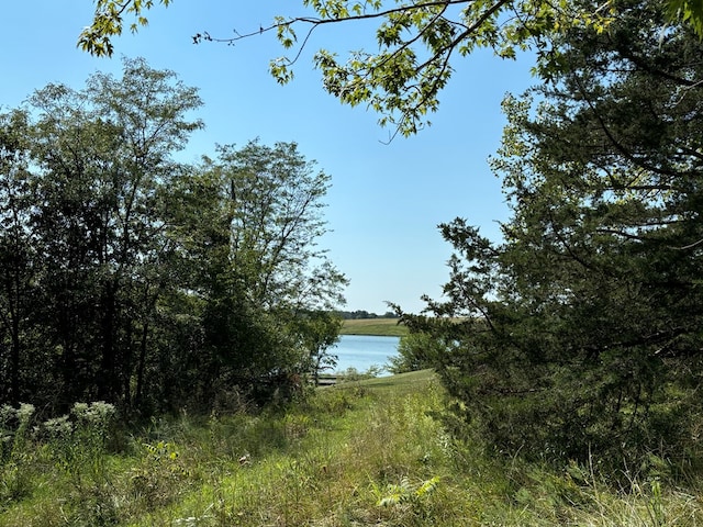 view of landscape with a water view