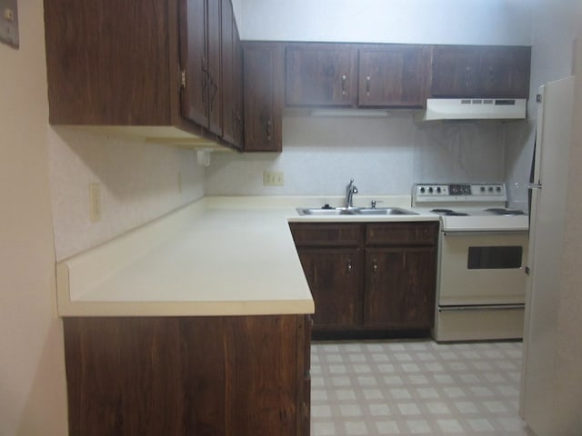 kitchen with dark brown cabinetry, white appliances, sink, and extractor fan