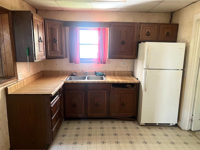 kitchen featuring dark brown cabinetry, white refrigerator, a drop ceiling, and sink