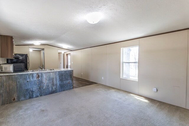 1018 Logue Ln, Keytesville, MO 65261 - kitchen featuring vaulted ceiling, a sink, dark carpet, and a textured ceiling