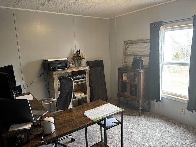 49615 Peach Rd, Milan, MO 63556 - office space featuring healthy amount of natural light, ornamental molding, and carpet