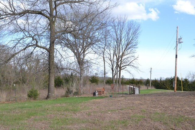 49615 Peach Rd, Milan, MO 63556 - view of yard