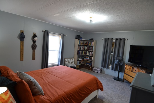 49615 Peach Rd, Milan, MO 63556 - view of carpeted bedroom