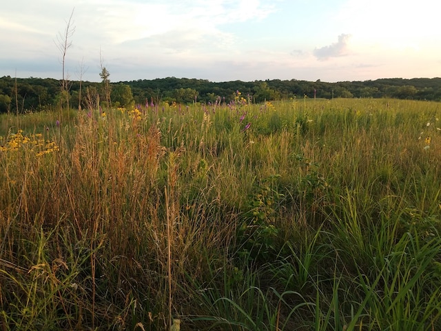 23523 State Highway Aa, Greentop, MO 63546 - view of landscape featuring a rural view