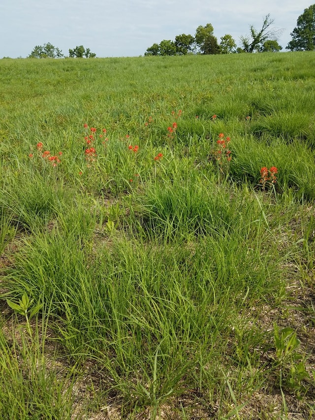 23523 State Highway Aa, Greentop, MO 63546 - view of landscape featuring a rural view