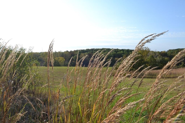 23523 State Highway Aa, Greentop, MO 63546 - view of local wilderness featuring a rural view