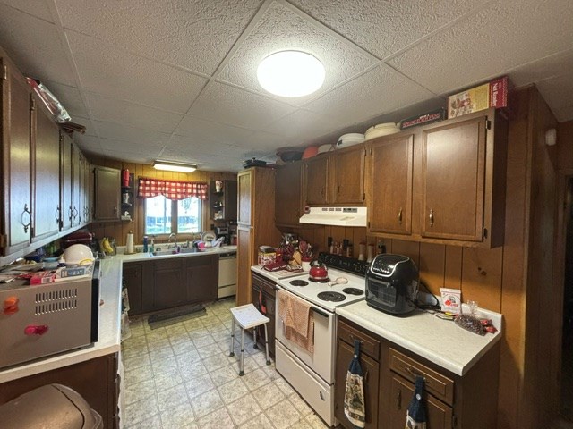 kitchen with dishwasher, sink, a drop ceiling, range hood, and white electric stove