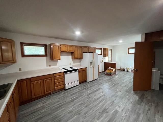 kitchen with wood-type flooring, white appliances, and sink