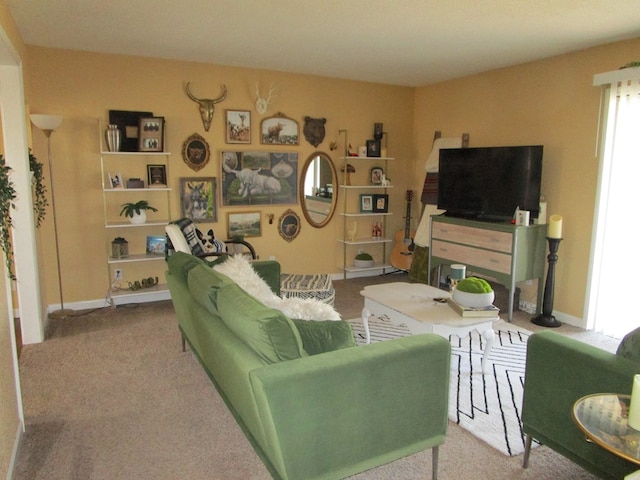 living room featuring carpet flooring