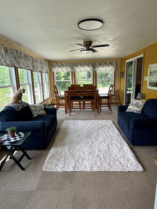 31013 Beechnut Cir, Unionville, MO 63565 - photo 19