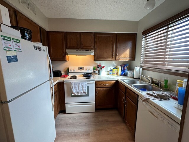 2803 Woodwinds Ct, Kirksville, MO 63501 - kitchen with white appliances, under cabinet range hood, light countertops, and a sink