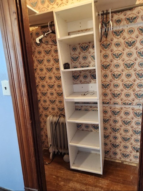 605 High St, Linneus, MO 64653 - closet with radiator heating unit